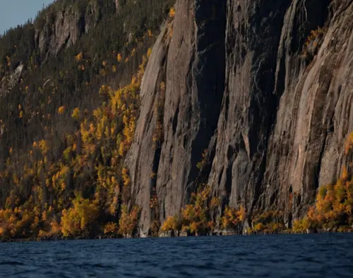 Hôtels-Gouverneur-Sept-Îles-Blogue-Automne-réserve-faunique de-Port-Cartier–Sept-Îles