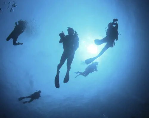Hôtels-Gouverneur-Sept-Îles-Ile-petite-basque-plongée