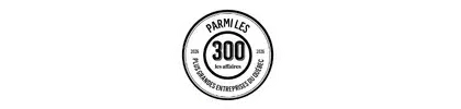 Logo Parmi Les 300 Meilleures Entreprises Au Quebec Par Les Affaires