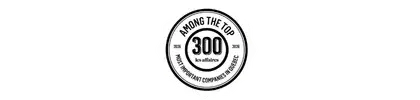 Logo_Among the Top 300 most important compagnies in quebec by Les Affaires