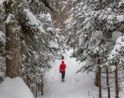 Hotels-Gouverneur-sept-Iles-Randonnée-Sentier-hiver-raquette
